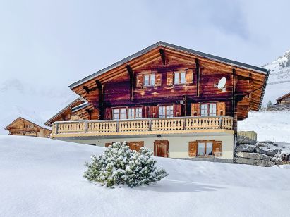 Chalet Le Pacheu-1