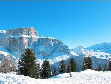 Skidorp Gezellig, typisch Italiaans wintersportdorpje-4