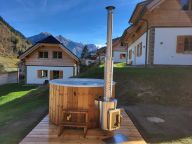 Chalet Riesneralm Liene-3