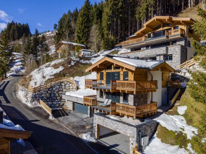 Chalet Lengau Luxurious B Hinterglemm-1