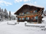 Chalet La Scie-18