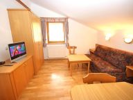 Chalet-appartement Voithofer Top 3-4