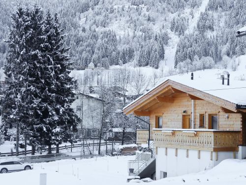 Chalet-appartement Wildenbach Panoramablick - 4 personen - Oostenrijk - Ski Juwel Alpbachtal Wildschönau - Niederau