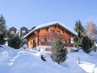 Chalet Les Geais-19