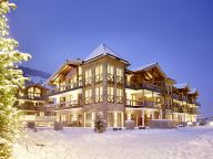 Chalet-appartement Wildkogelresorts Type IVa-23