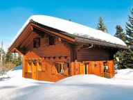 Chalet Vagabond-11