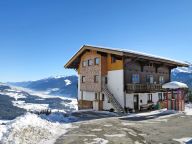 Chalet-appartement Haus Tauernblick-13