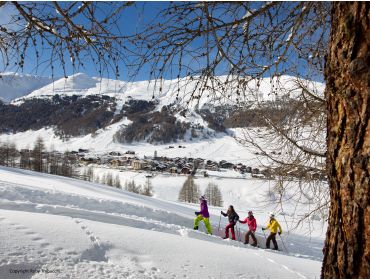 Skidorp Langgerekt wintersportdorp met veel opstapplaatsen voor skiliften-9